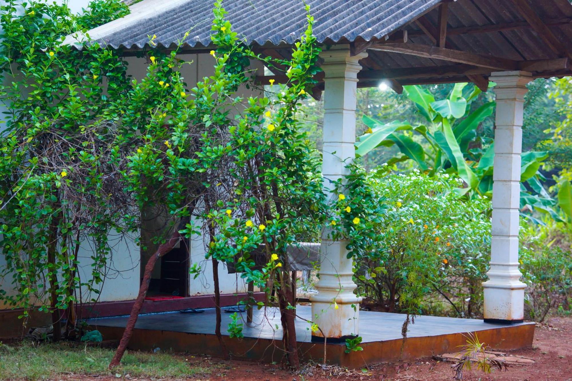 Senu Homestay Sigiriya Bagian luar foto